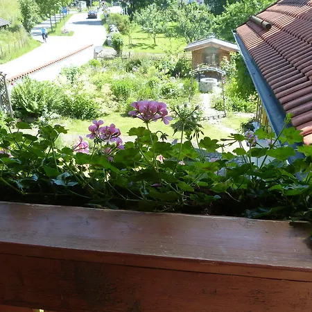 Suzanne's & Gardens Отель типа 